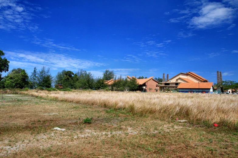 a large field with a house and some trees