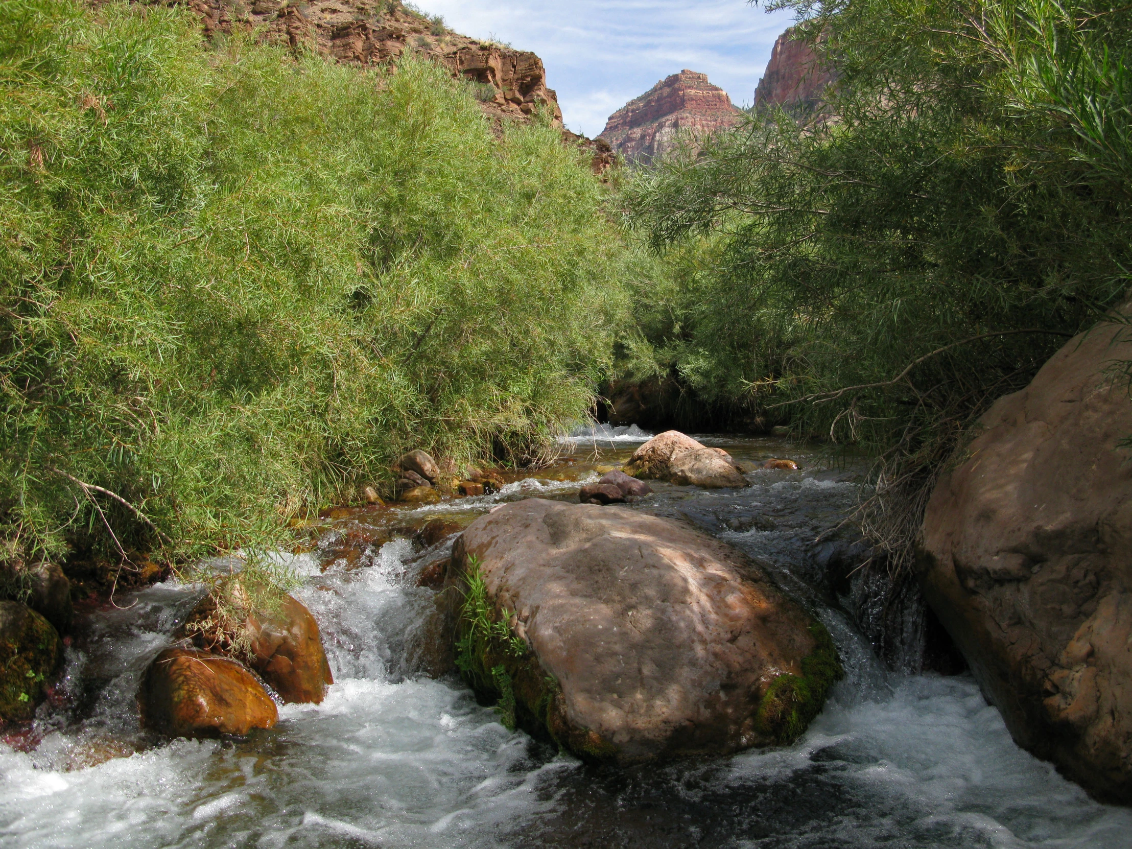 a stream running between some rocks and plants