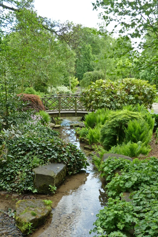 an empty garden with a small bridge over water