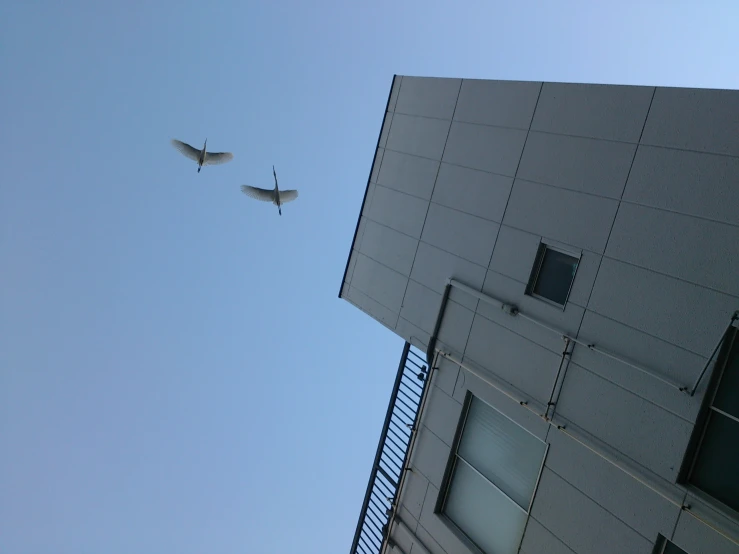 the back of a building with two birds flying in the air