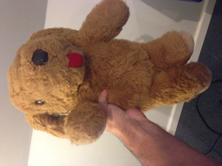 a person holding onto a brown stuffed animal with red heart