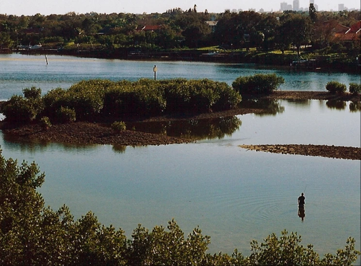 a man standing alone in water with trees around him