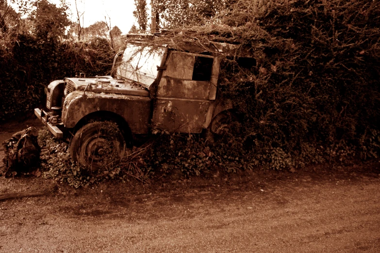 a truck sits on top of vegetation next to a trail