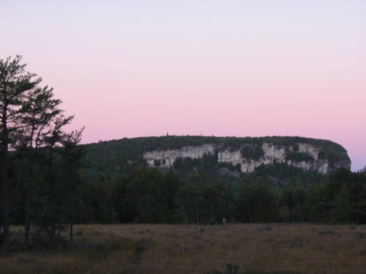 there is a mountain in the distance and trees