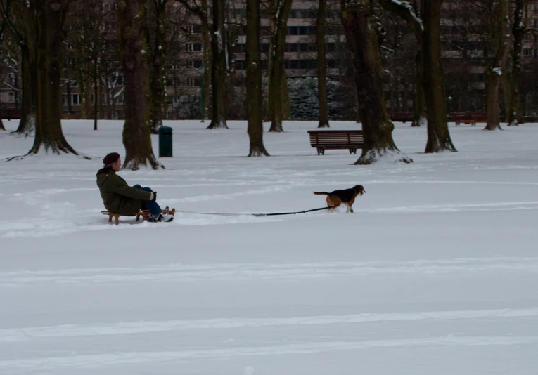 a person on a snowy path with their dog