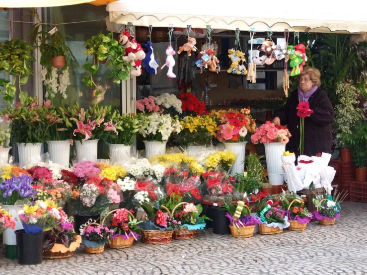 women are looking through the various flowers for sale