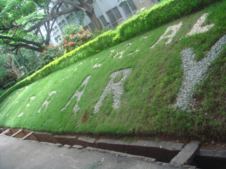 an area with white letters that spell out no to trees