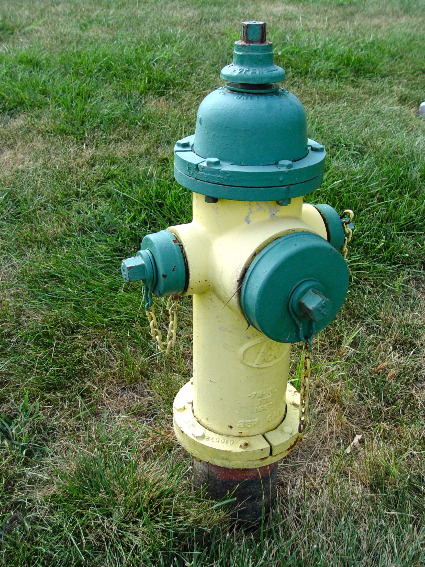 an old green and yellow fire hydrant in grassy field