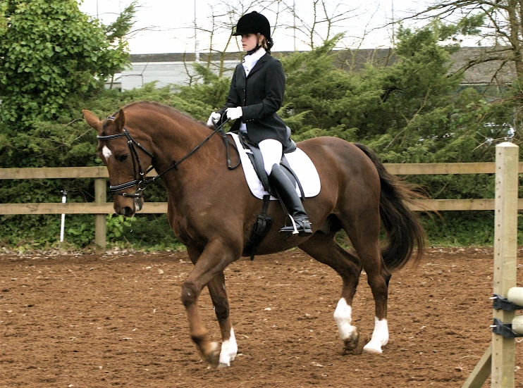 a woman in riding gear rides a horse