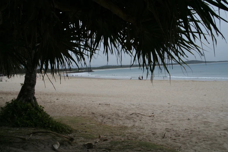 the beach has no people and no one is in the water