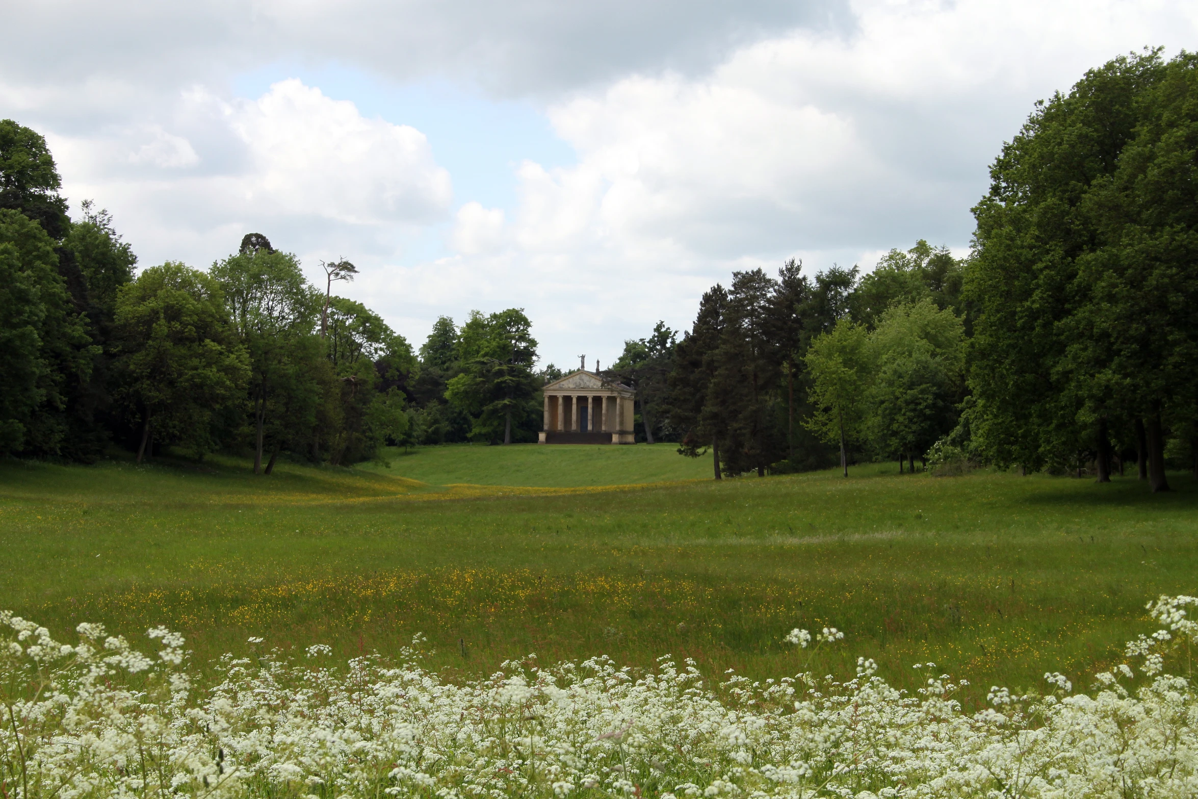 the landscape and lawn is surrounded by trees