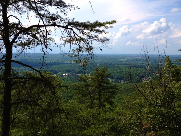 view of trees and land from a high point in the sky