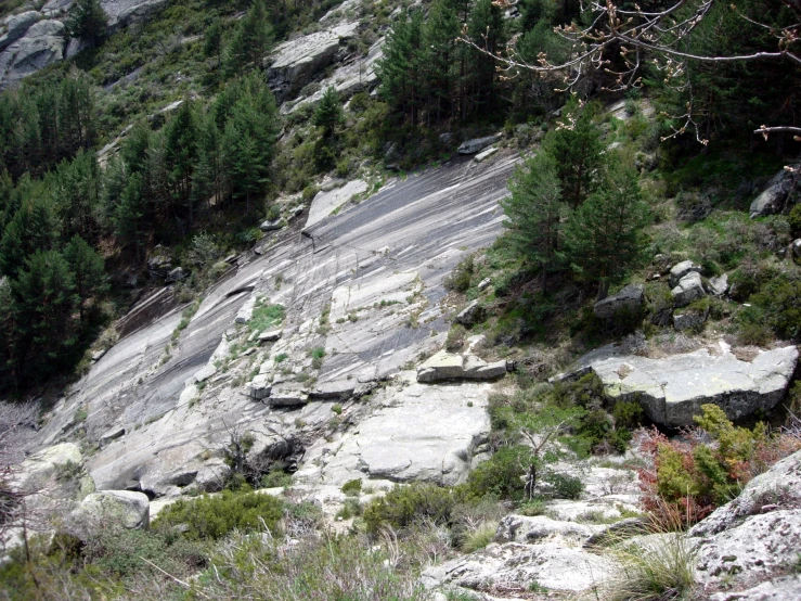 a bear walking up the side of a rocky hillside