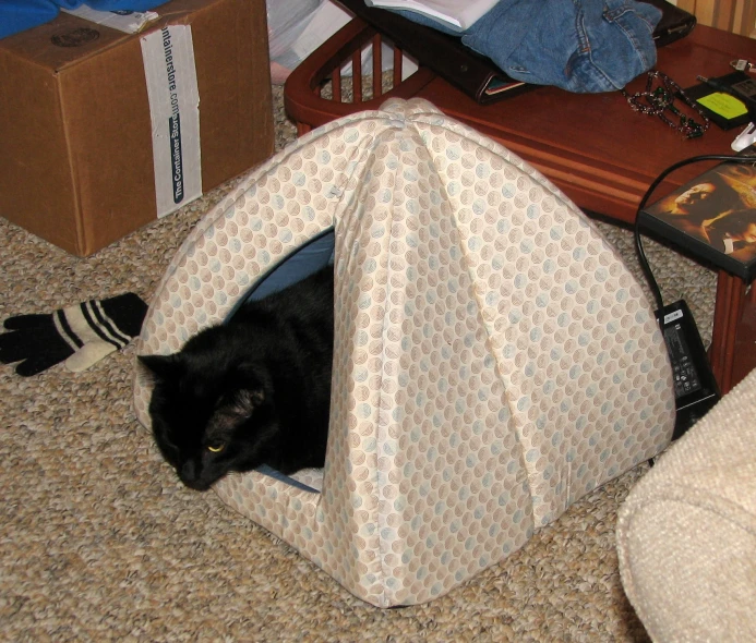 there is a black cat hiding in the dog house