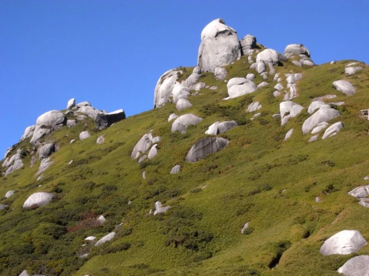 the grassy hill with many large rocks on it