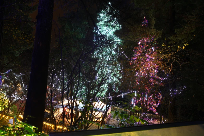 the large lighted christmas tree in a public park