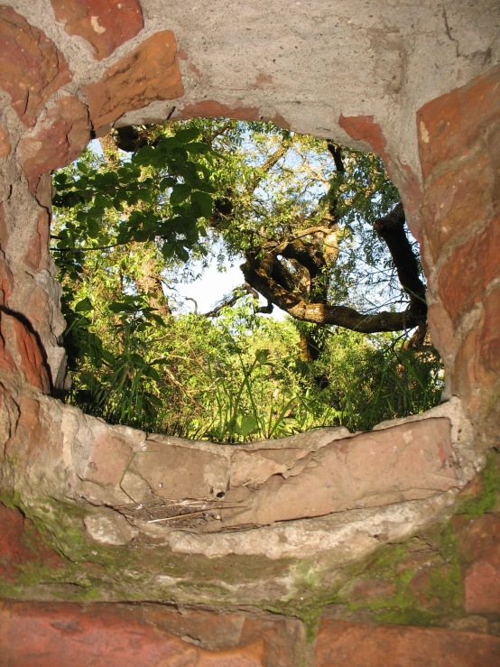 a tree in the distance through an opening made of bricks