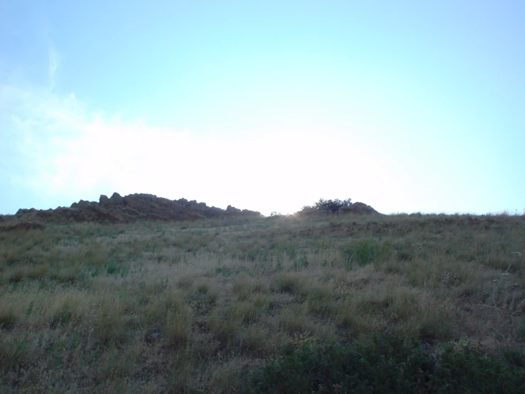 a hillside covered with grass and rocks