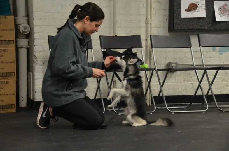 a woman squatting down petting a dog on a chair