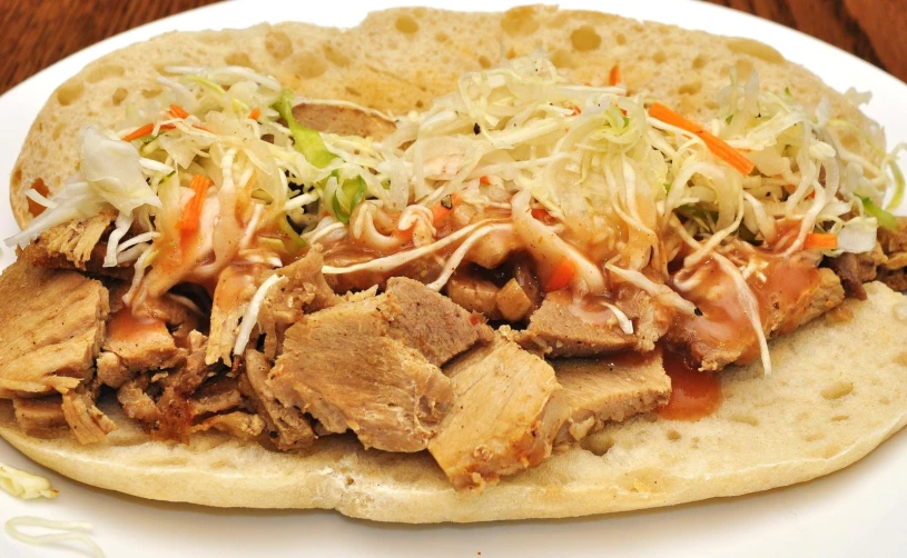 pork and rice pita with slaw on it