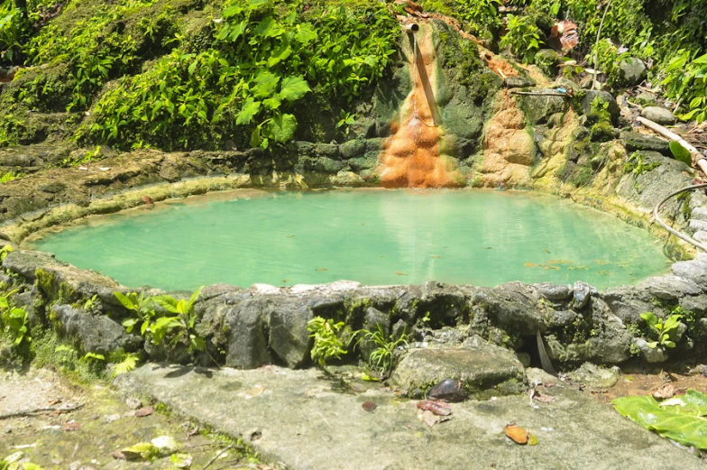 some people are standing around the pool in the jungle