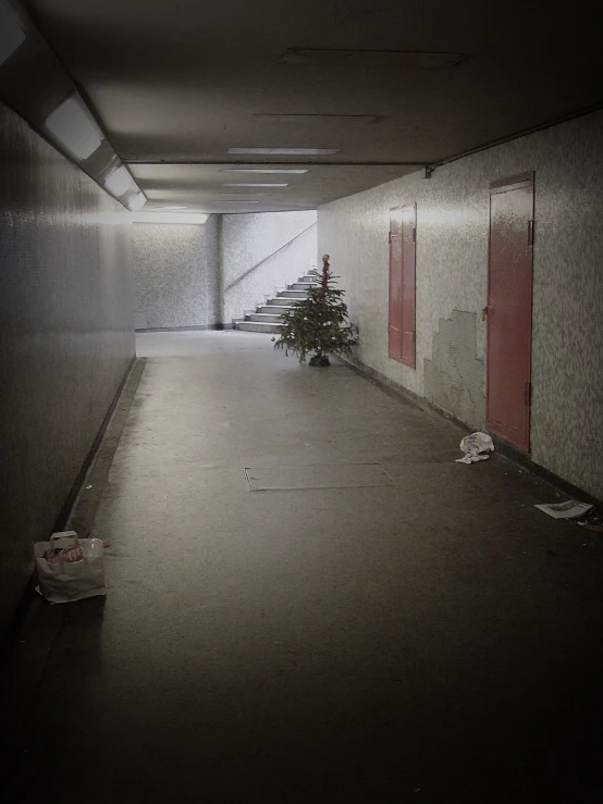 a tree in an empty room near red doors