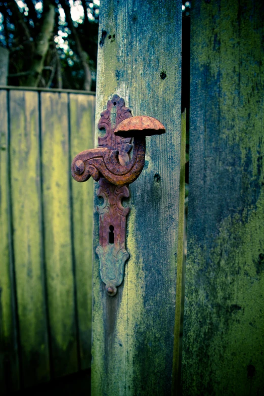 a closeup of a lock on an old wooden gate