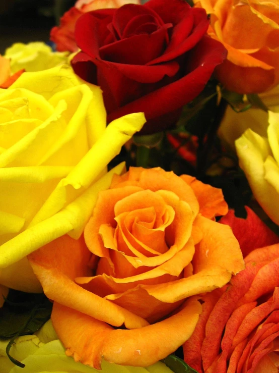 an assortment of colorful roses on a table