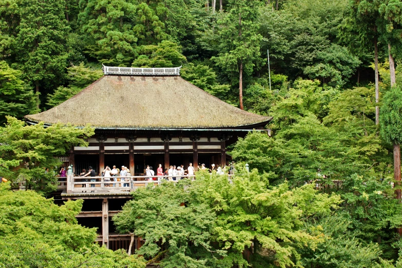 tourists entering a wooden house in the woods