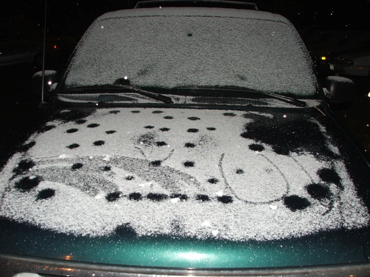 an animal car covered in snow and peanuts