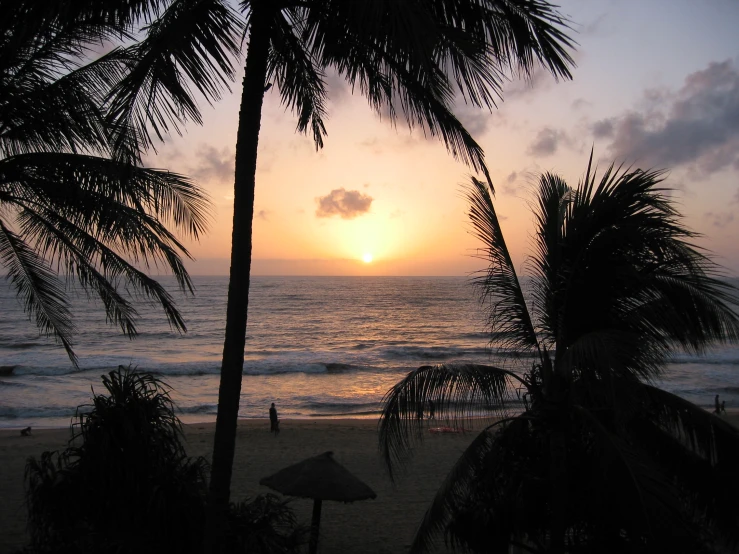 a sunset over a beach and palm trees