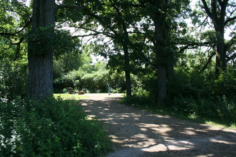 the park features a shaded path with trees around it