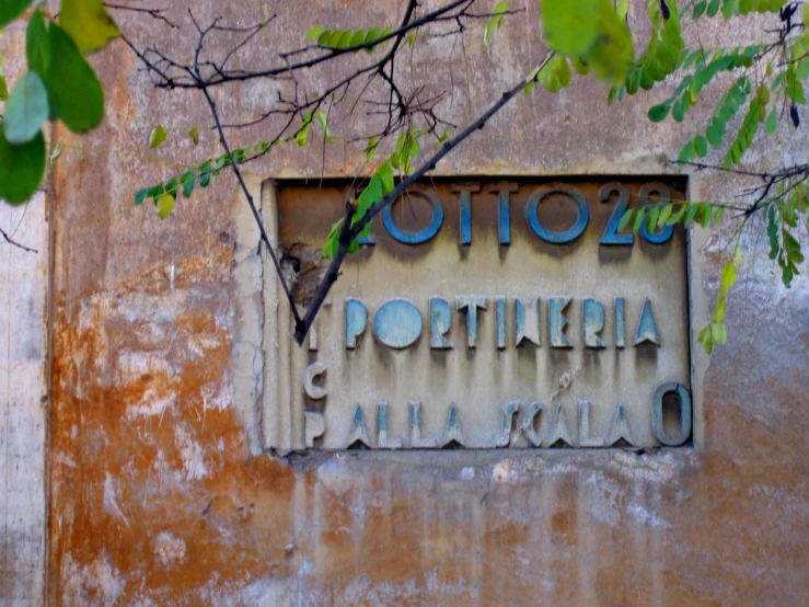 a sign that is written in a wall next to a tree