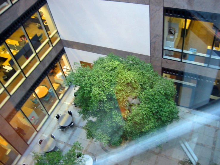 there is a view from the top of a tall building