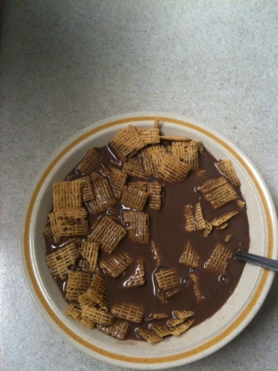 a bowl of chocolate with some cereal in it