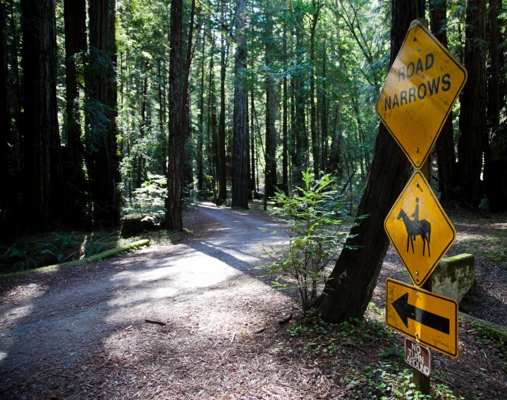 two signs on a pole that is next to trees