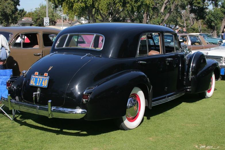 old model cars lined up on display in grassy area