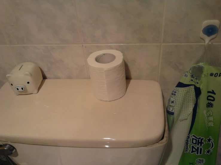 a toilet with a roll of toilet paper next to it