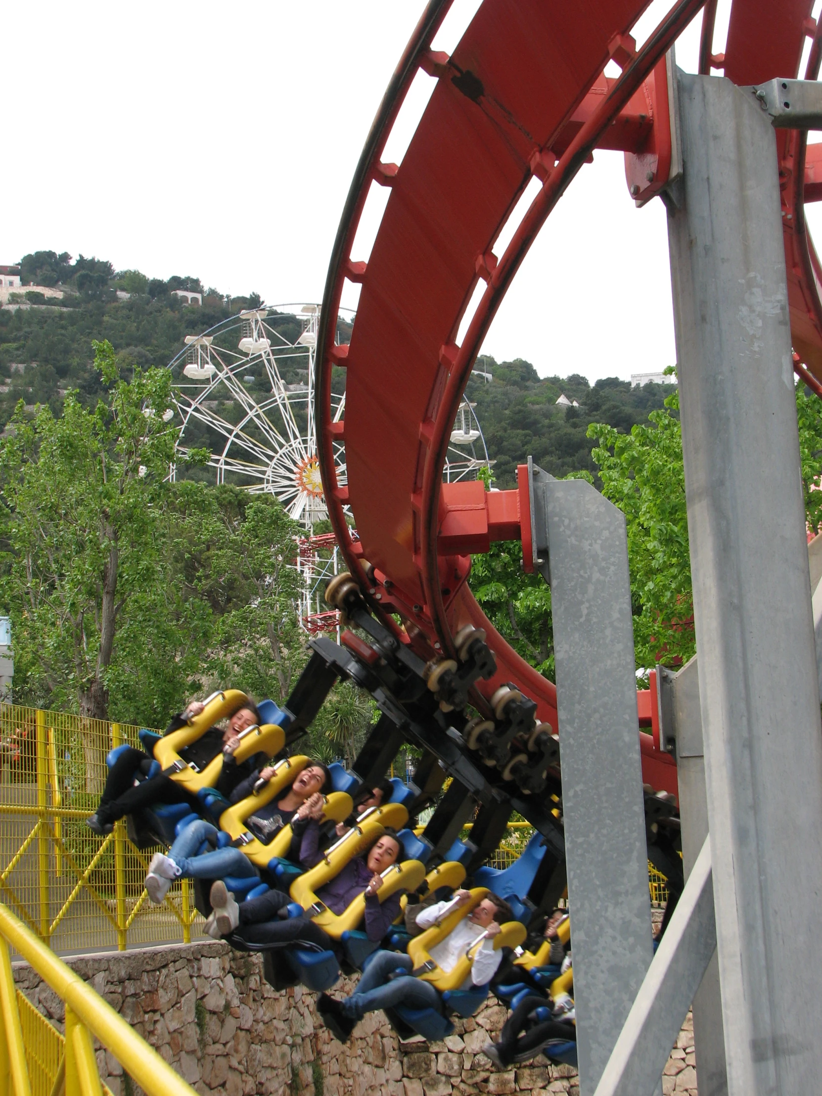 an image of a ferris wheel ride ride at the amut park