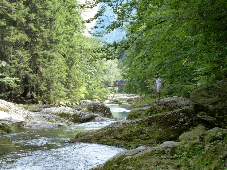 a person stands on rocks and looks out over a small stream