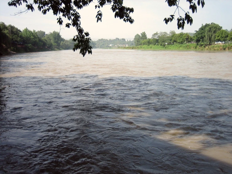 the view of a lake from behind the tree