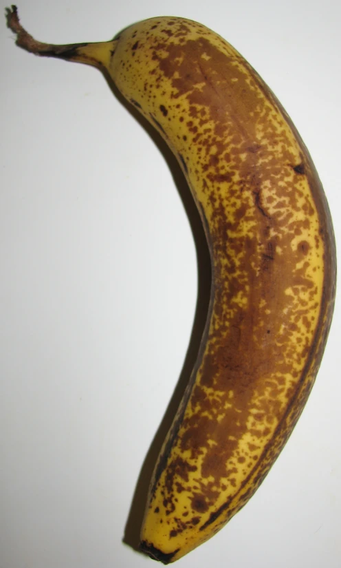 an overhead view of a ripe banana with brown spots