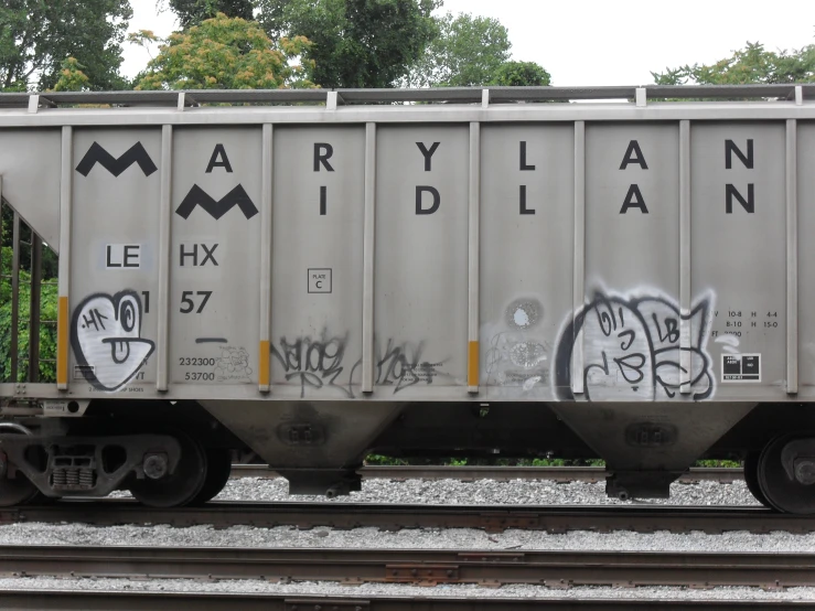 the back side of a train with grafitti and some trees