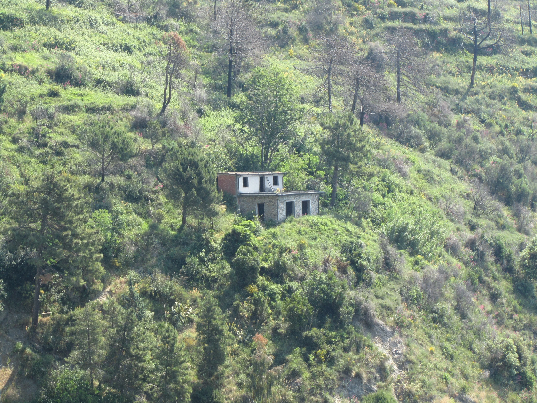 this is a small house on a mountain