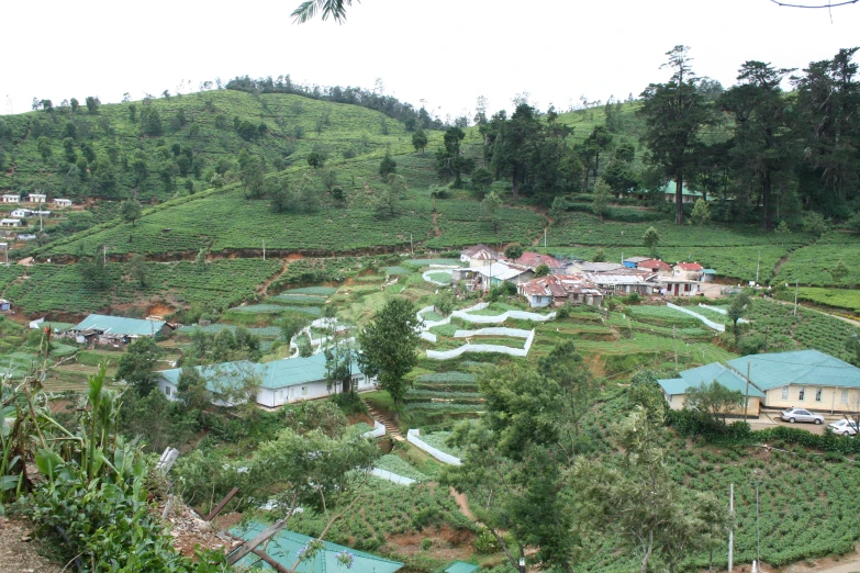 a landscape scene of homes near the mountains