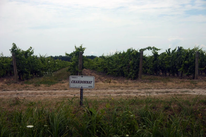 a white sign standing next to a dirt road