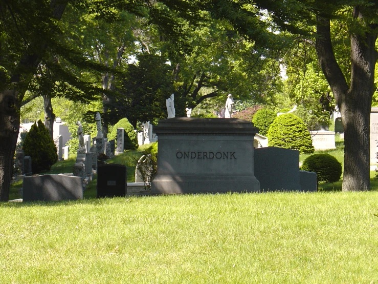 several graves in the grass with one of them engraved