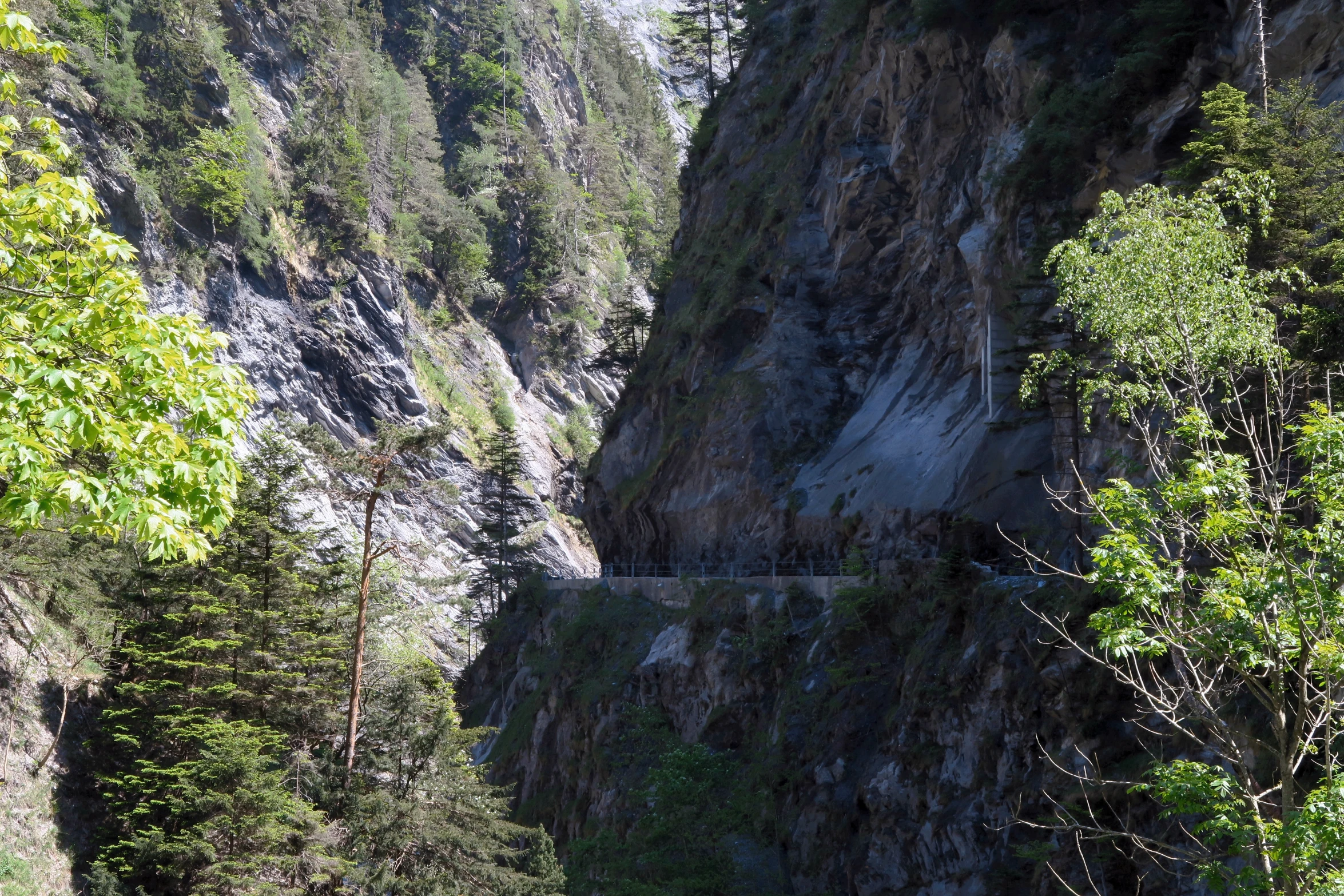 two people are riding horses on a narrow mountain path