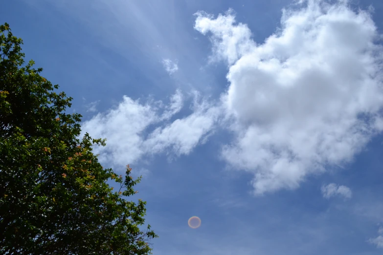 a single tree is next to the clouds in the sky