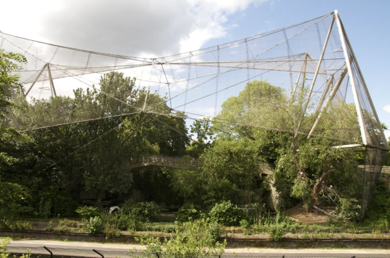 a rope bridge hanging over a forest filled with trees